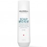 Goldwell DualSenses Scalp Regulation Anti Dandruff Shampoo - 250ml