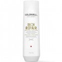 Goldwell DualSenses Rich Repair Restore Shampoo - 250ml