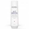 Goldwell DualSenses Rich Repair Restore Shampoo - 250ml